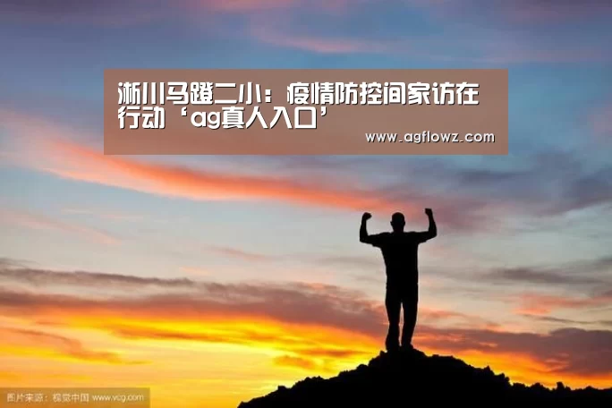 淅川马蹬二小：疫情防控间家访在行动‘ag真人入口’