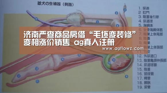 济南严查商品房借“毛坯变装修”变相涨价销售_ag真人注册(图4) ag真人注册