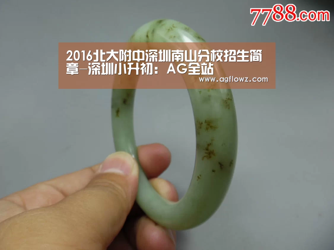 2016北大附中深圳南山分校招生简章-深圳小升初：AG全站