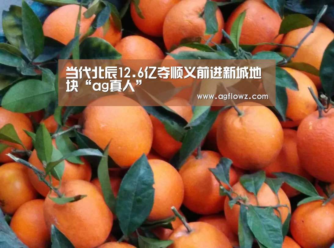 当代北辰12.6亿夺顺义前进新城地块“ag真人”