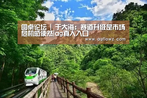 圆桌论坛 | 于大海：赛道升级是市场危机感使然|ag真人入口