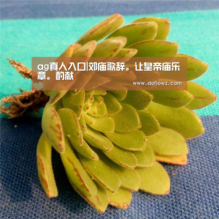 AG全站