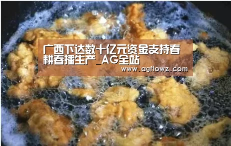 广西下达数十亿元资金支持春耕春播生产_AG全站